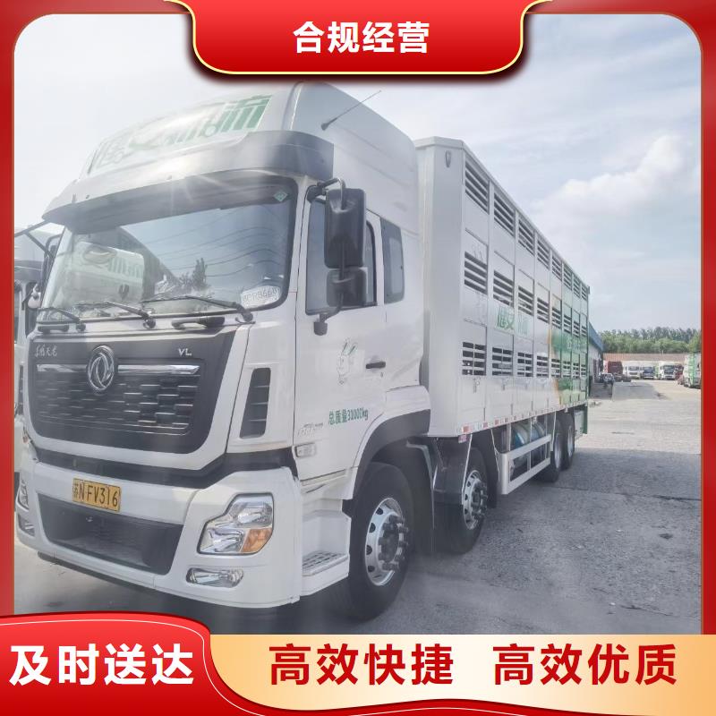 绍兴到羊运输专用车保障完备规格齐全