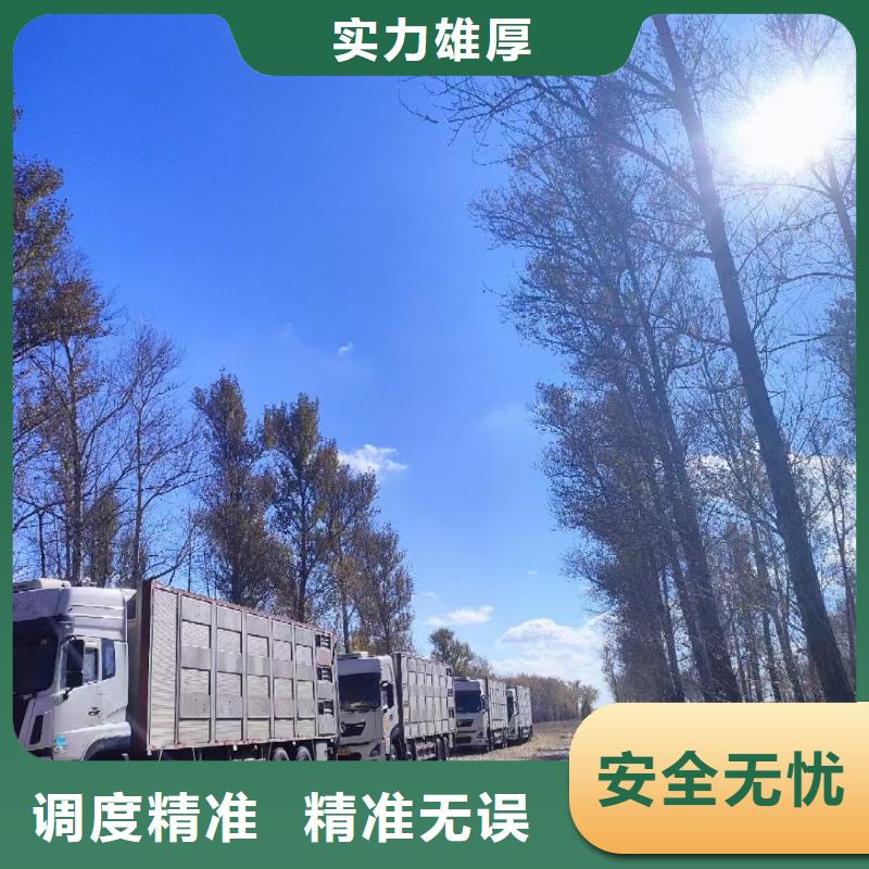 宿迁市沭阳到活禽运输路线优化当地生产商