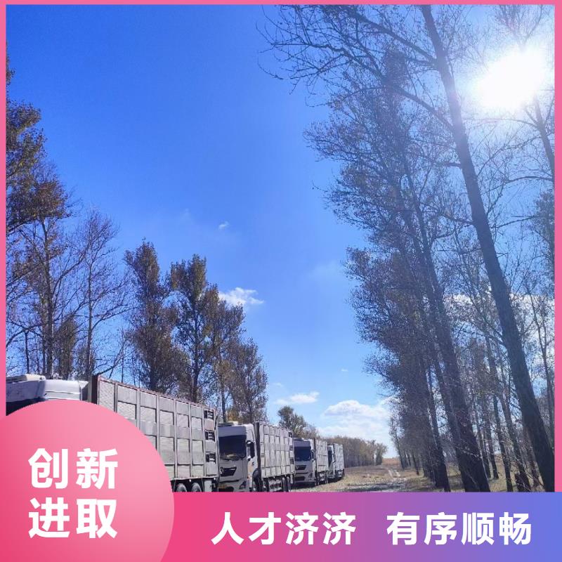宿迁市泗洪到生猪空调车运输小心谨慎工艺精细质保长久