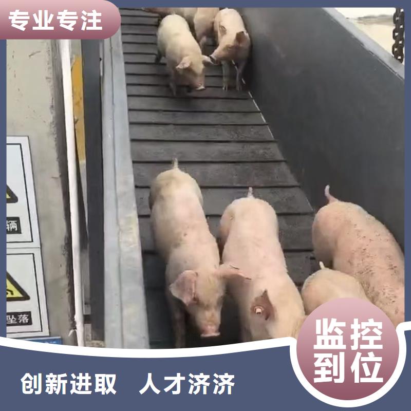 宿迁市沭阳到原料运输环境适宜原厂制造