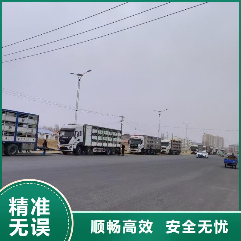 宿迁市泗阳到牛运输规模宏大当地生产商