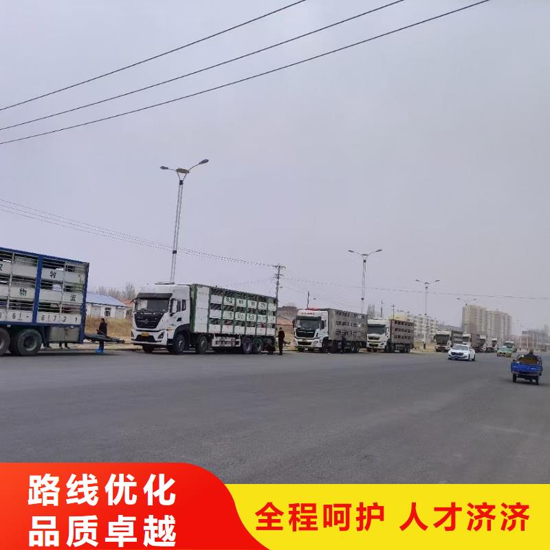 宿迁市泗阳到农牧物流合规经营同城厂家