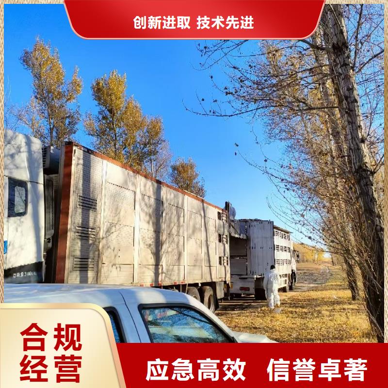 宿迁到仔猪运输司机经验丰富同城品牌