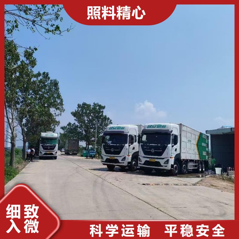宿迁市沭阳到牛运输优质实力雄厚品质保障