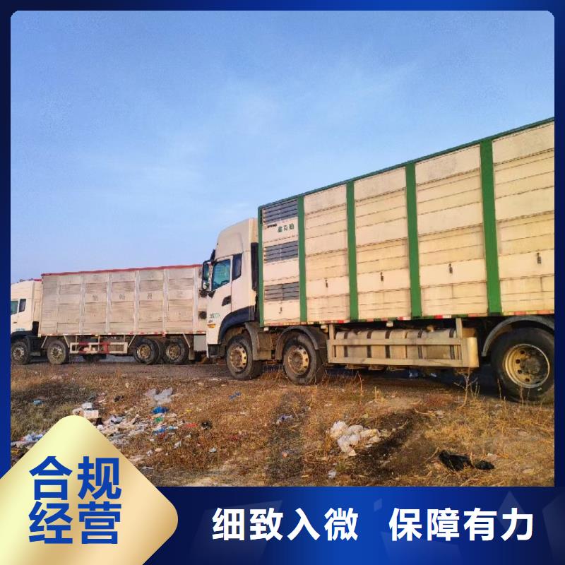宿迁市到羊运输专用车资源充足敢与同行比质量