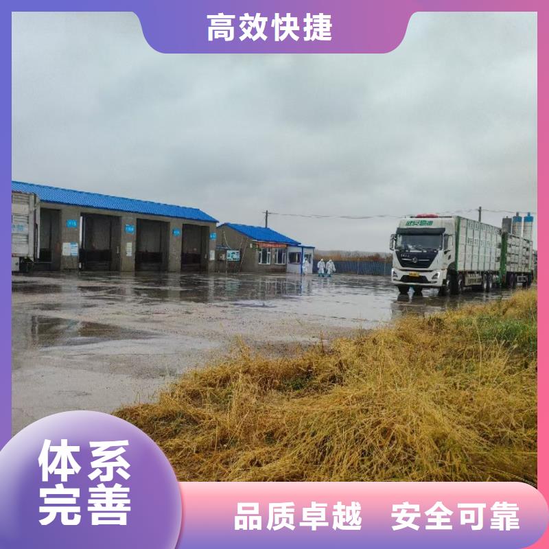 宿迁到猪笼车运输服务周到货品齐全