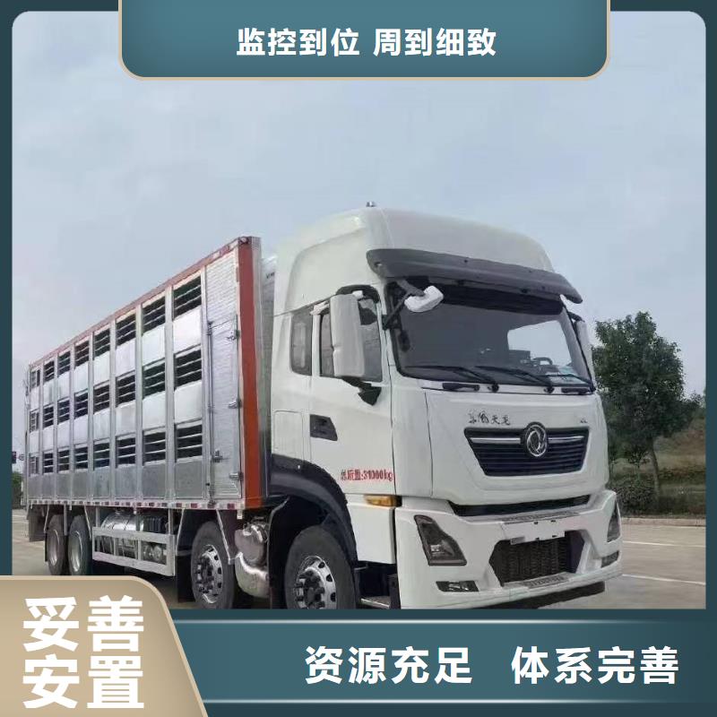 宿迁市泗阳到畜禽物流透明厂家供应