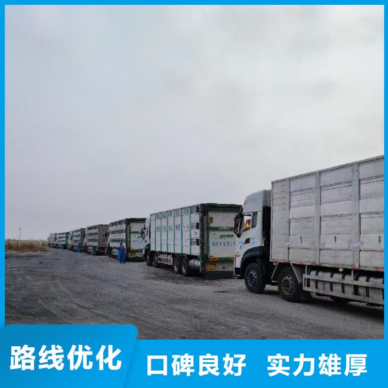 宿迁市到猪笼车物流精准无误同城生产商