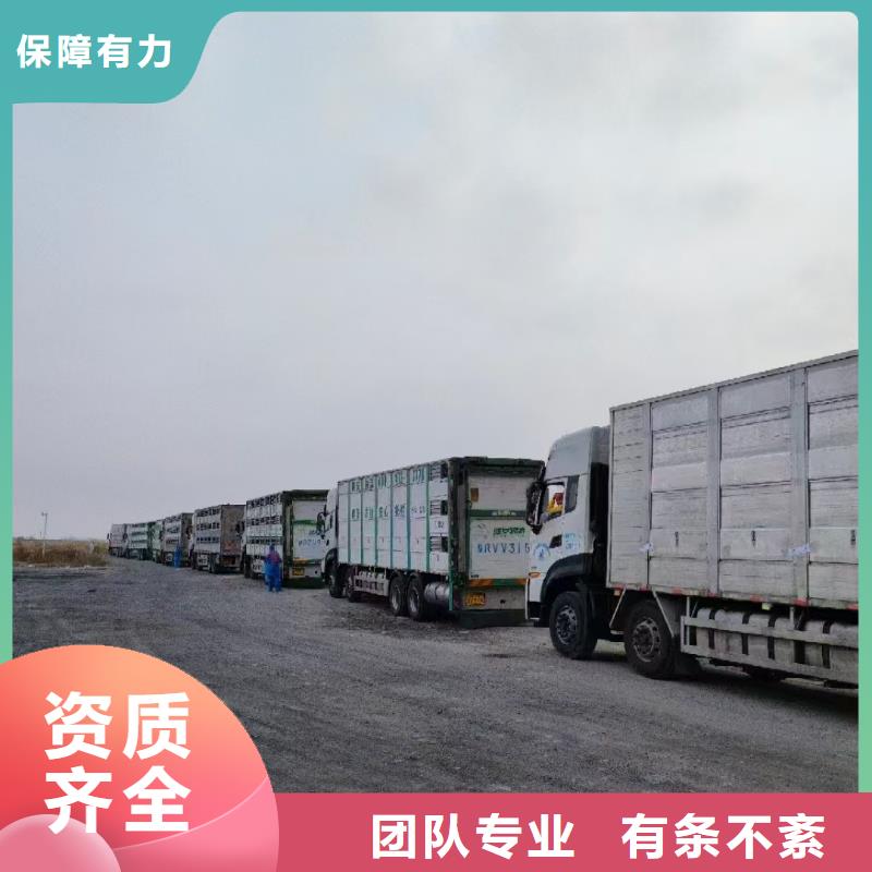 宿迁到种猪恒温车运输运费透明厂家直接面向客户