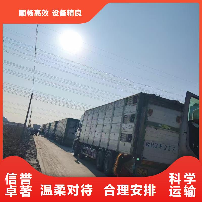宿迁市泗阳到畜禽物流专业专注本地供应商