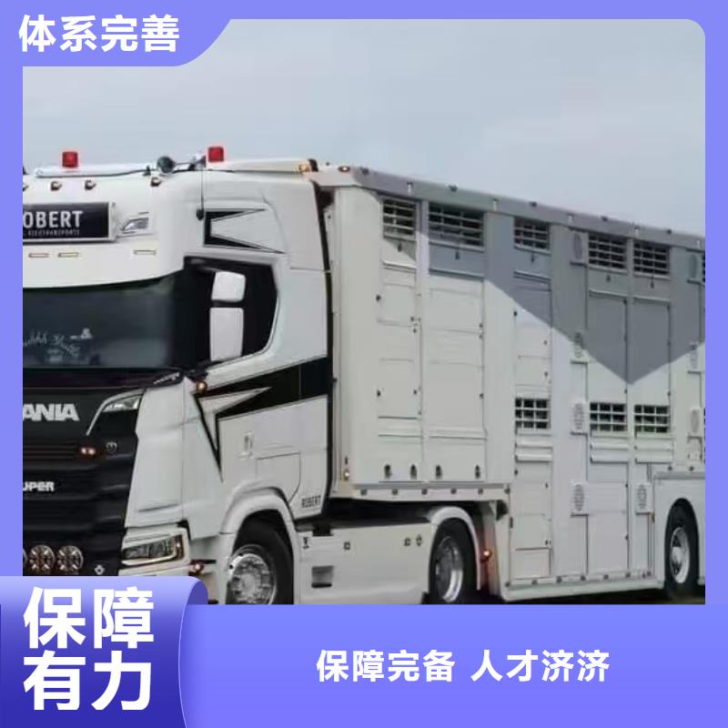 宿迁市泗洪到猪笼车运输快速免费询价