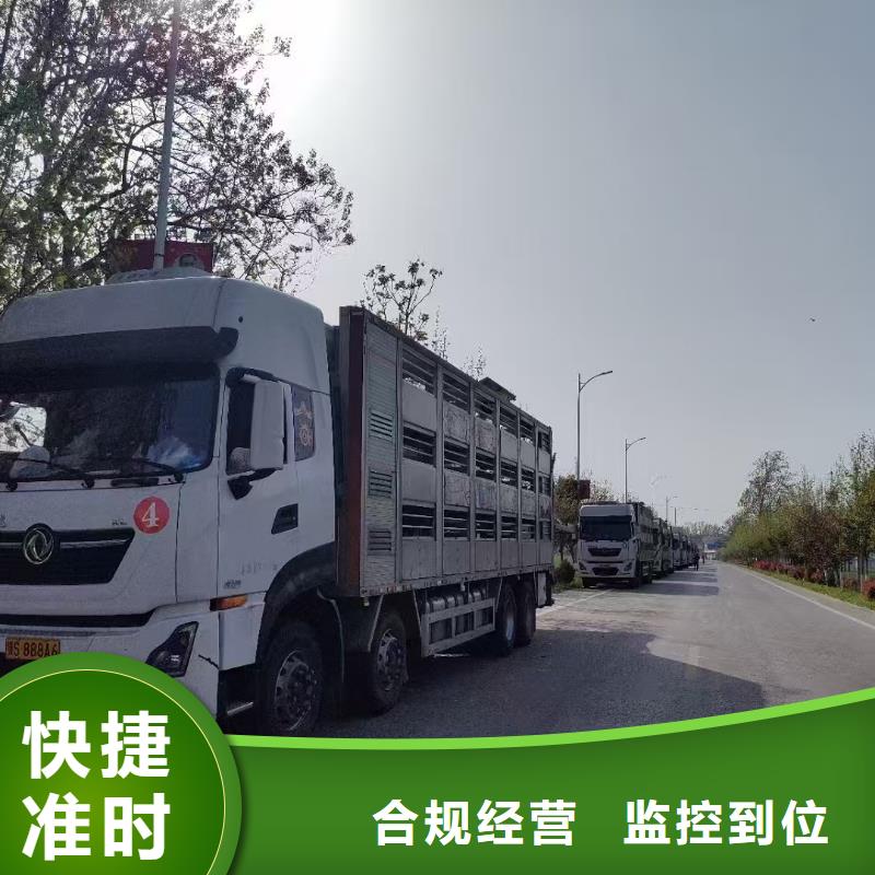 宿迁市沭阳到猪笼车运输服务有保障厂家规格全