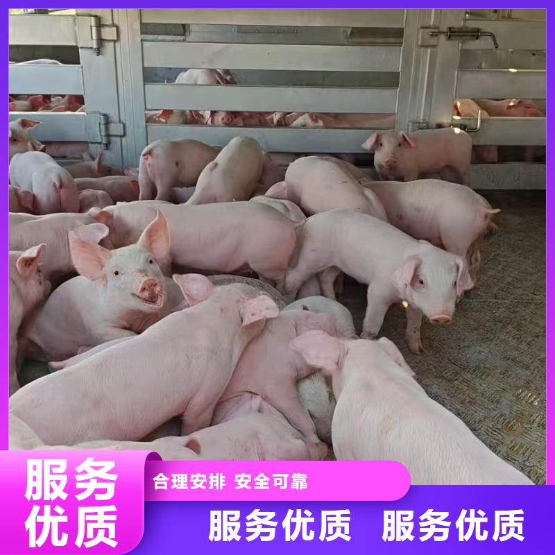 宿迁到空调车运输当日发车供应商