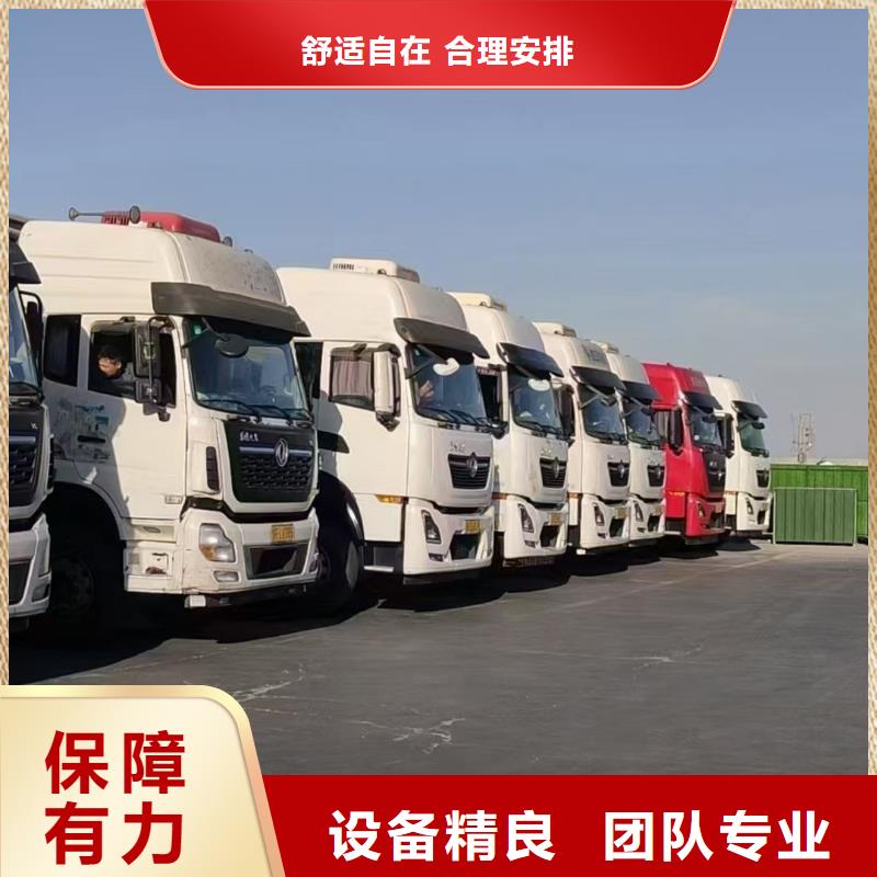 宿迁市到羊运输团队专业现货采购