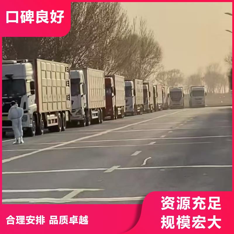宿迁市沭阳到猪运输透明当地公司