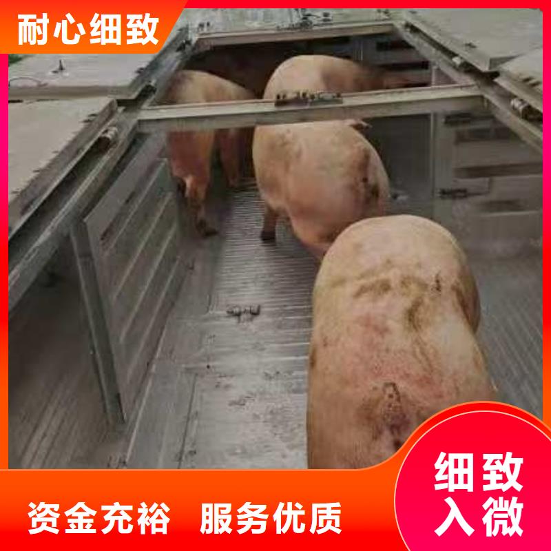 宿迁市沭阳到恒温车运输服务优质本地品牌