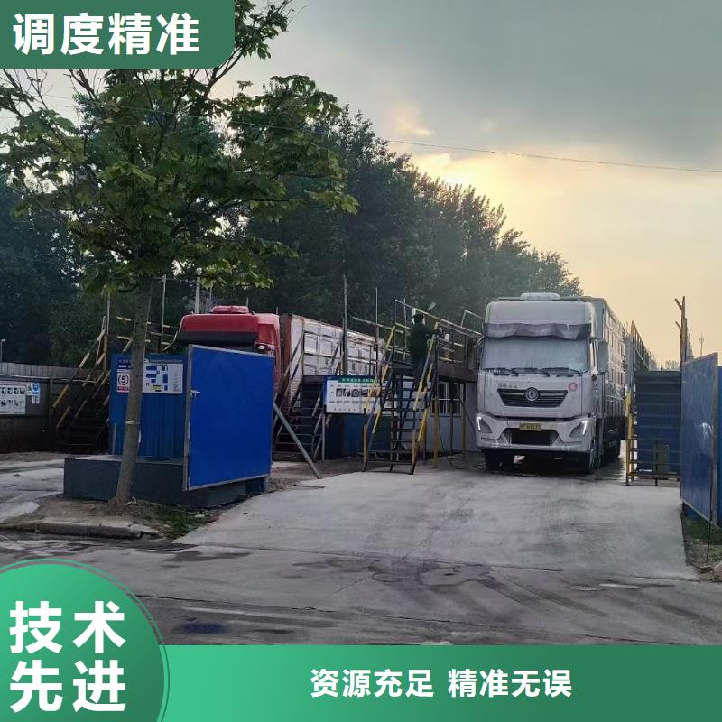 宿迁市泗阳到羊运输精心照料本地厂家