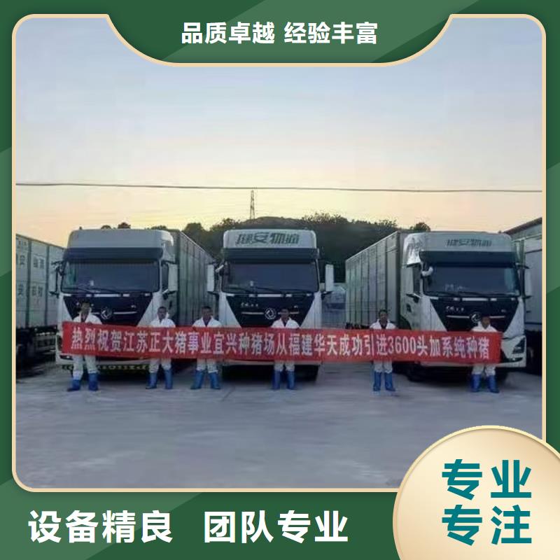 宿迁市沭阳到种猪恒温车运输技术先进厂家型号齐全