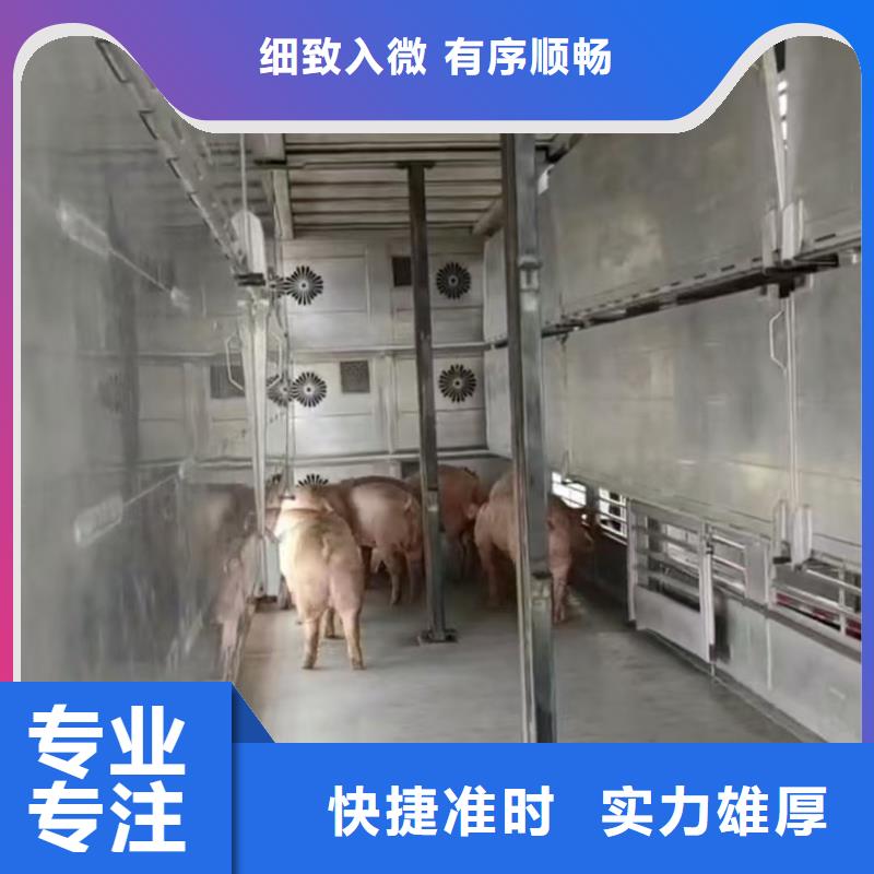 宿迁市泗洪到活禽物流资源充足同城经销商