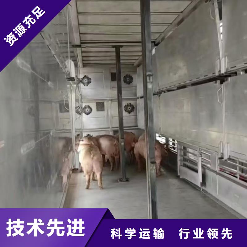 宿迁市泗洪到牲畜运输放心省心同城生产厂家