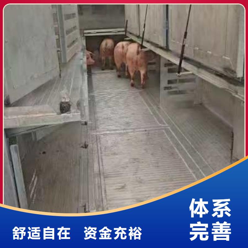 宿迁市泗洪到二育运输精心照料同城制造商