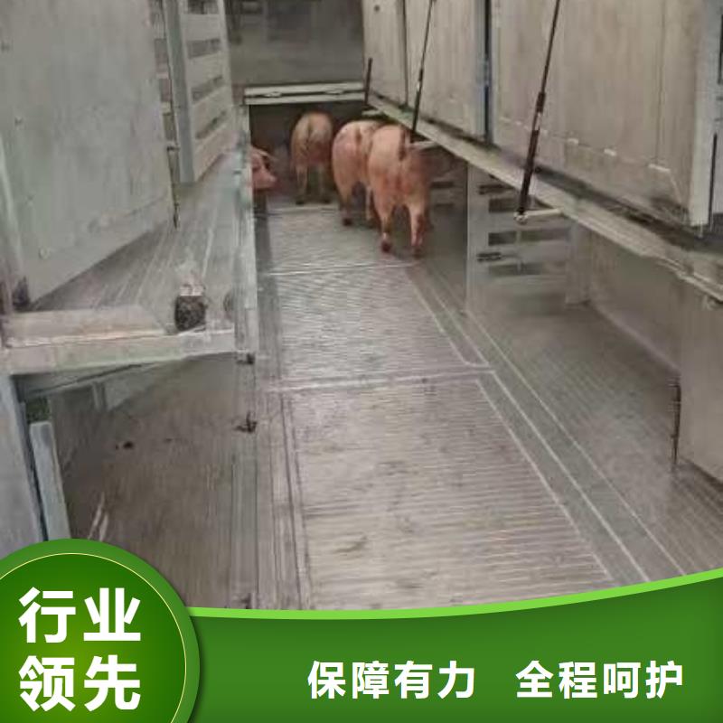 宿迁市到猪牛羊运输安静舒适源头工厂