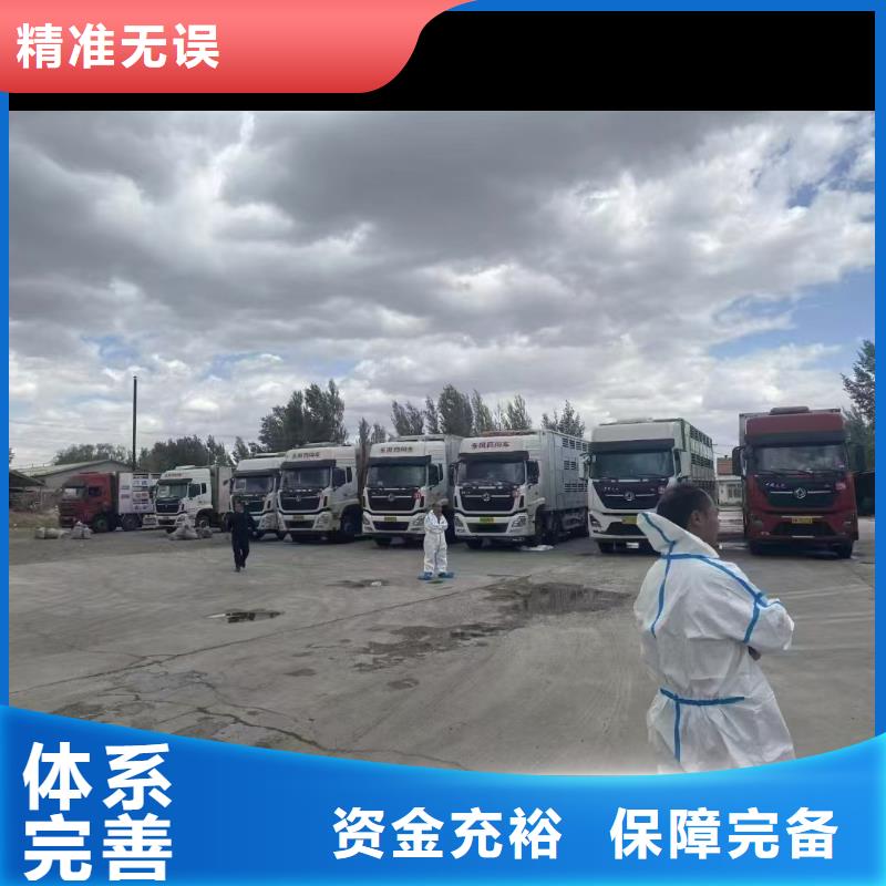 宿迁市沭阳到生猪空调车运输调度精准本地生产厂家