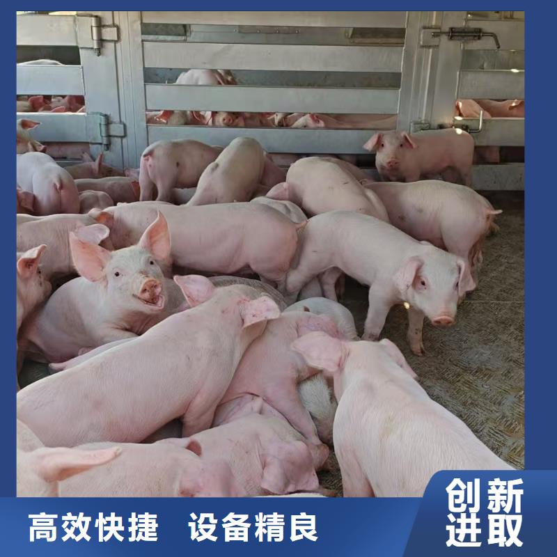 宿迁市到空调车运输省内隔天送达精选优质材料