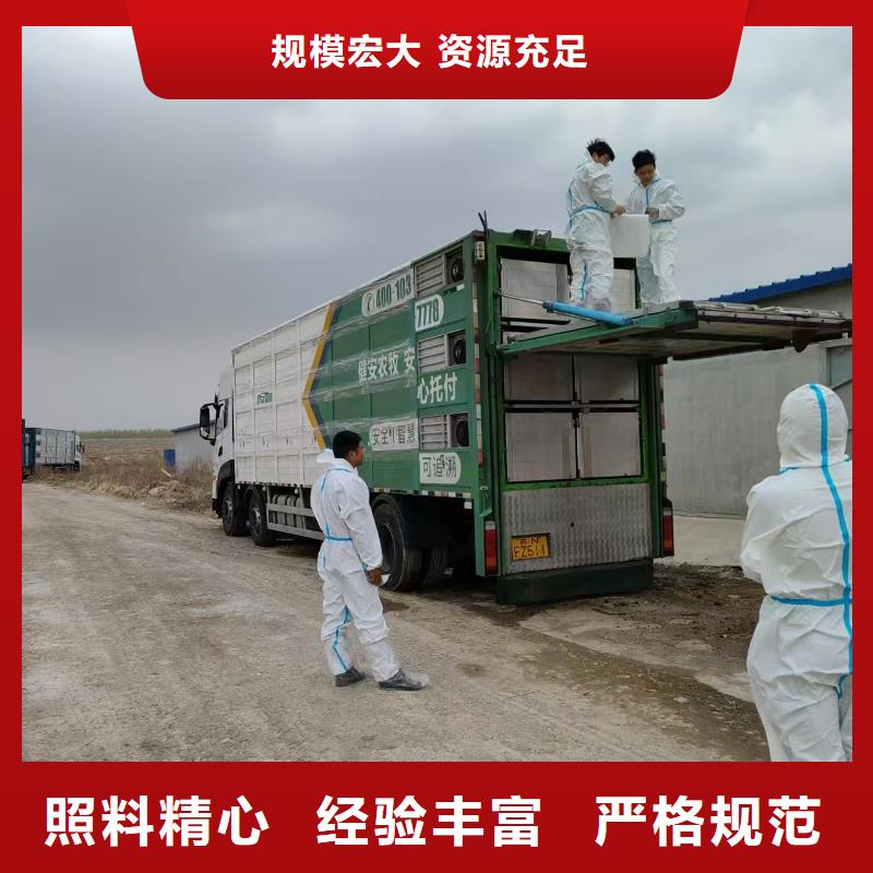南通到二育运输资源充足支持定制批发
