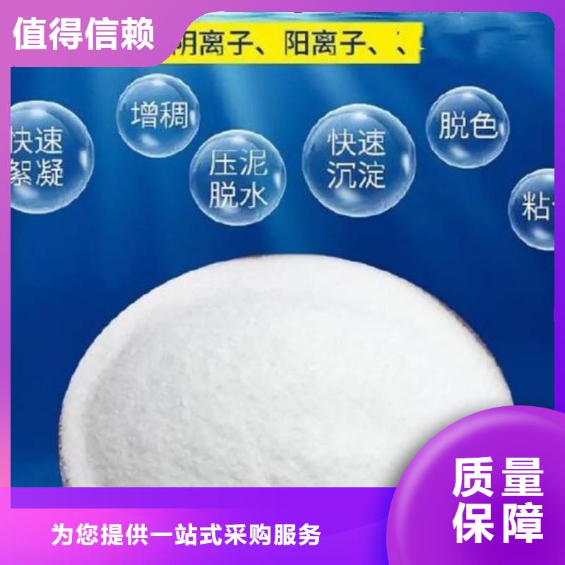 PAM阴离子卓越品质当地生产厂家