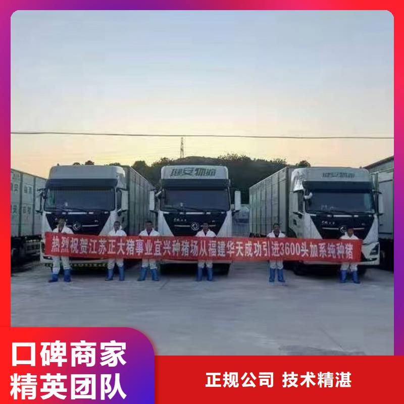 南京到生猪运输-空调车技术精湛畅销本地