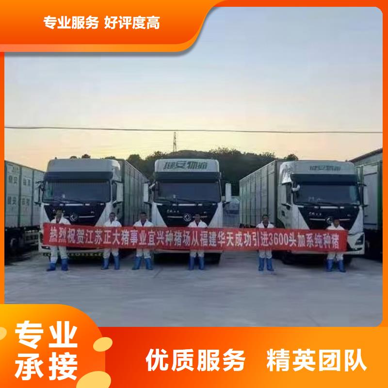 南通至农牧物流安静舒适当地品牌