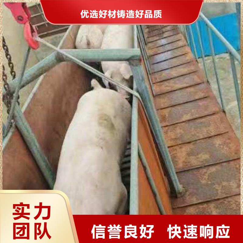 宿迁沭阳到畜禽物流-恒温车精英团队多种场景适用