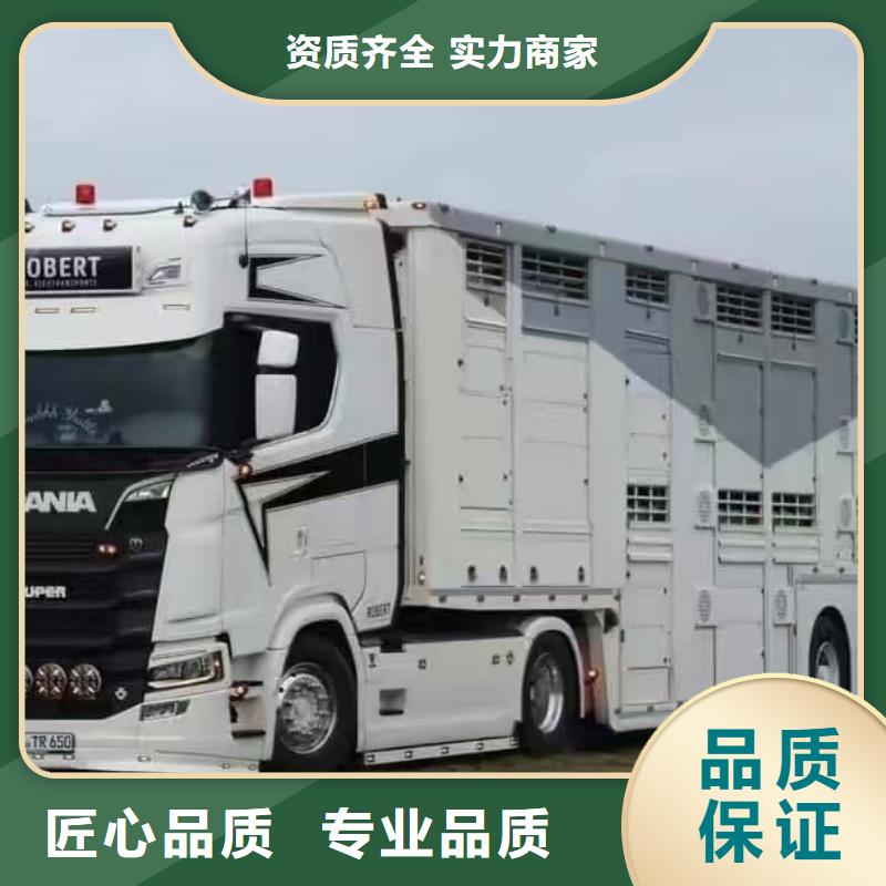 泰州到猪牛羊运输-恒温车匠心品质当地品牌