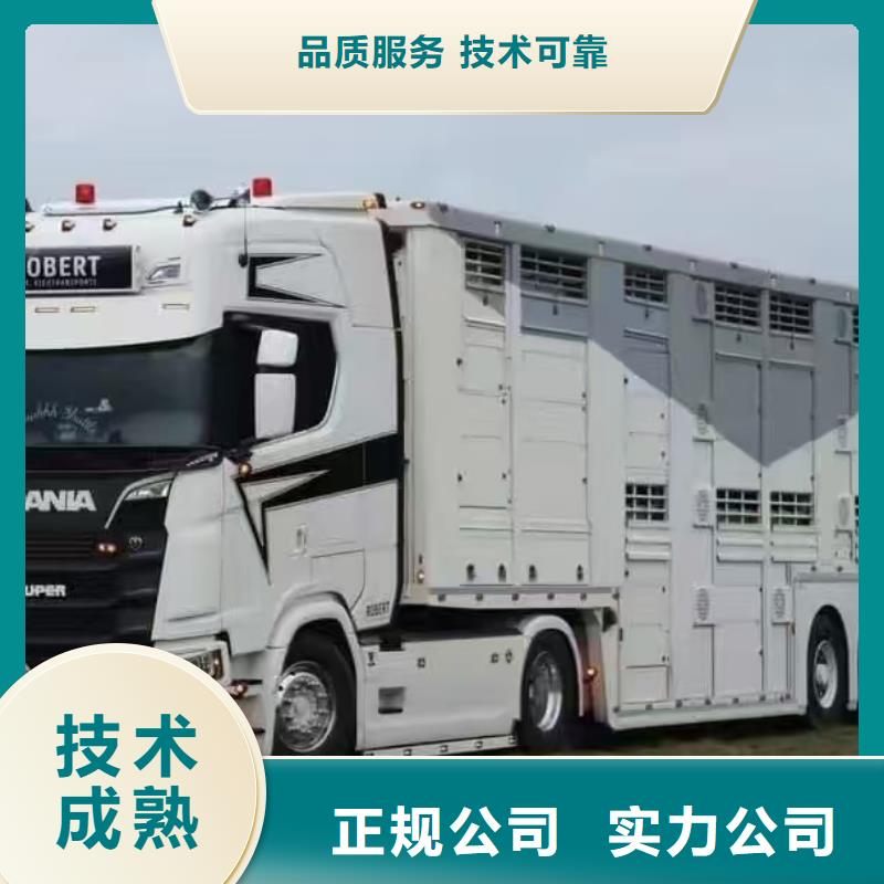 宿迁到猪运输合理安排匠心工艺