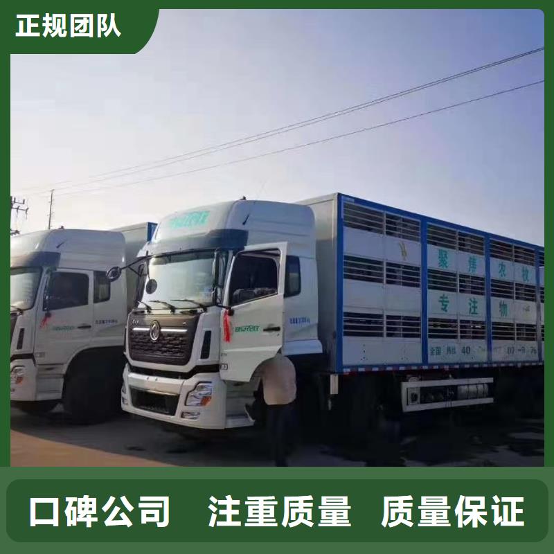 沭阳到猪只运输专用车-恒温车绿色通道支持拿样