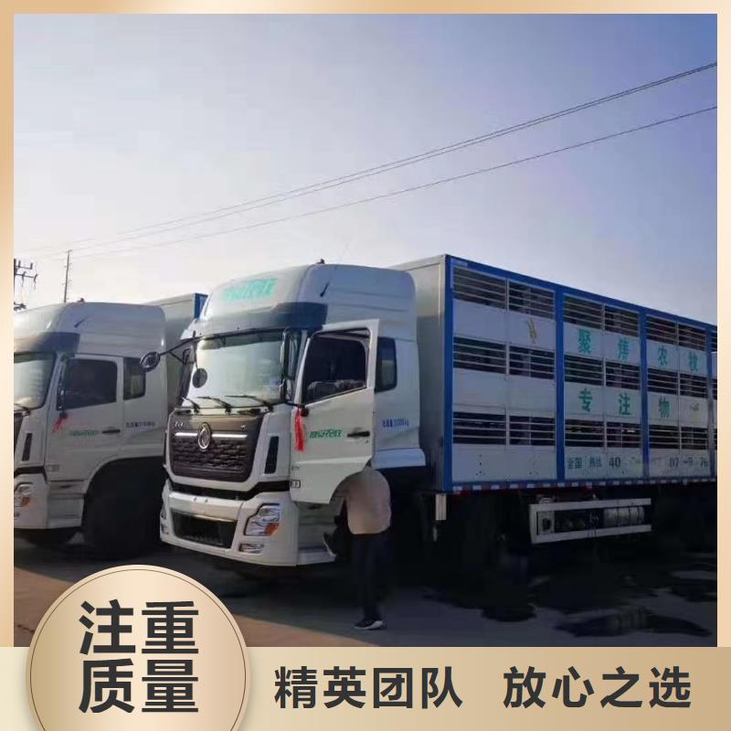 无锡到畜禽运输-专用车专业承接同城供应商