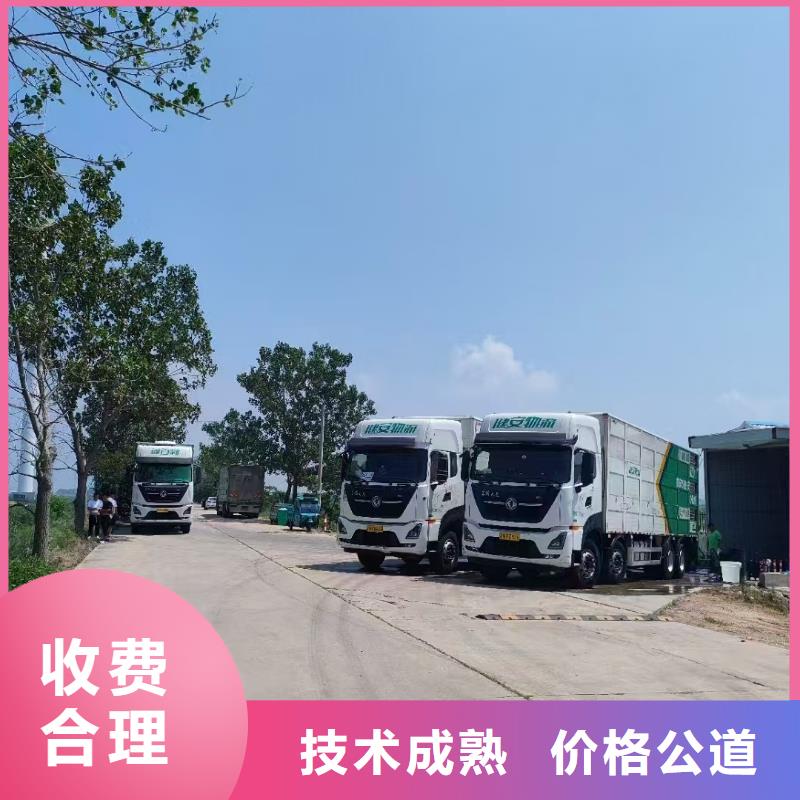生猪运输专业可靠品质服务种猪运输当地供应商