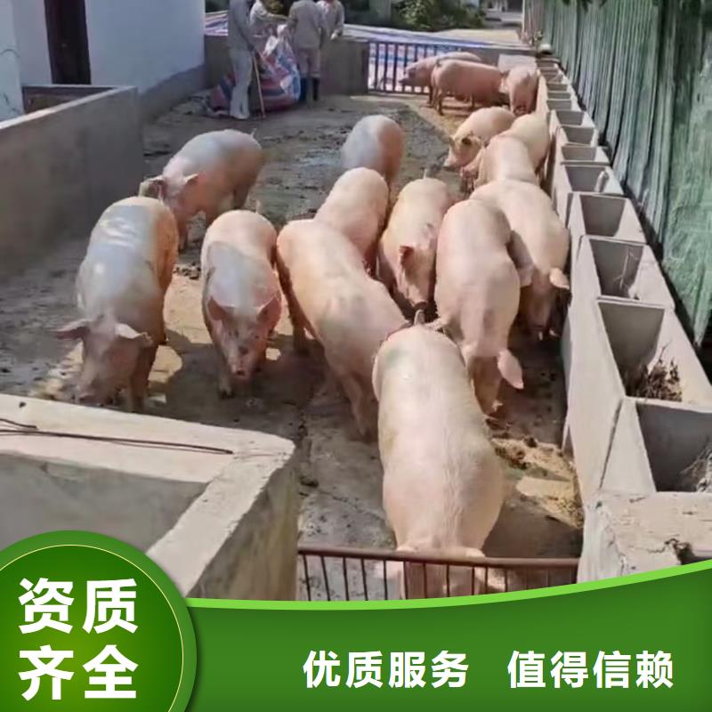 到二育运输精选货源