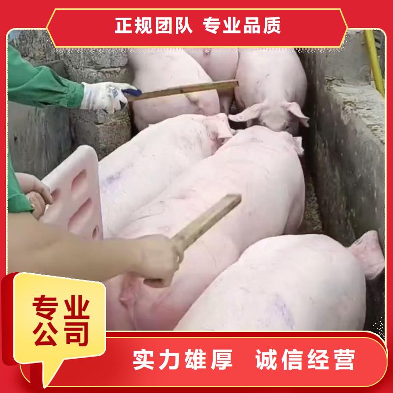 常州到农牧物流-专用车公道同城供应商