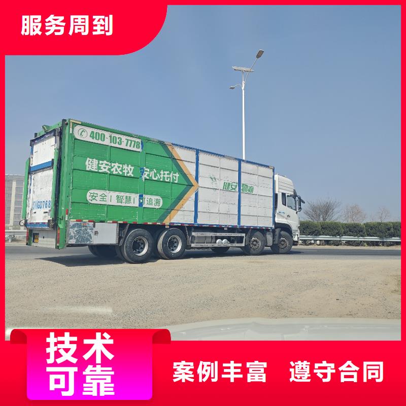 活禽运输欢迎询价诚信经营二育运输同城经销商