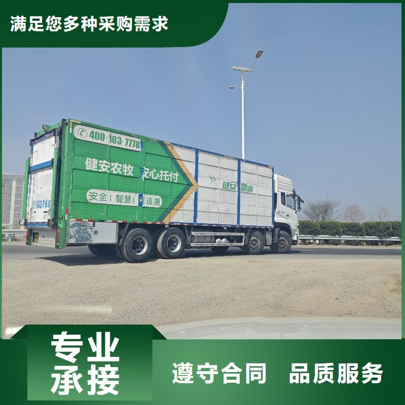 宿迁泗洪到农牧物流细致入微当地经销商