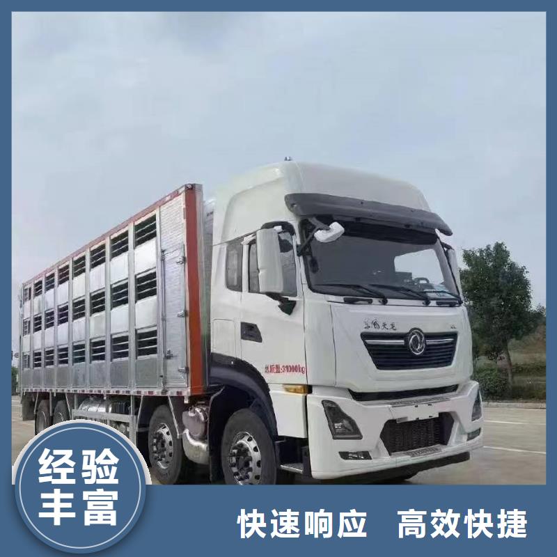 泗洪到农牧运输放心得选择