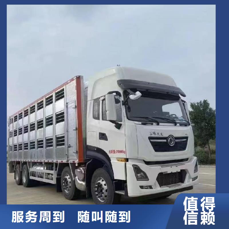 泗洪到猪牛羊运输当地公司
