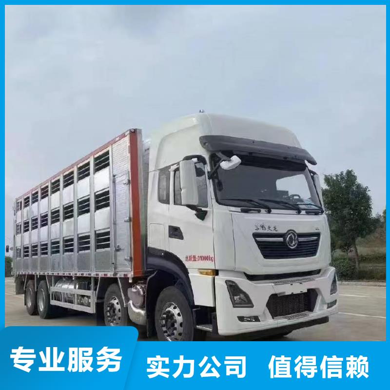 苏州到生猪运输-专用车专业公司量大从优