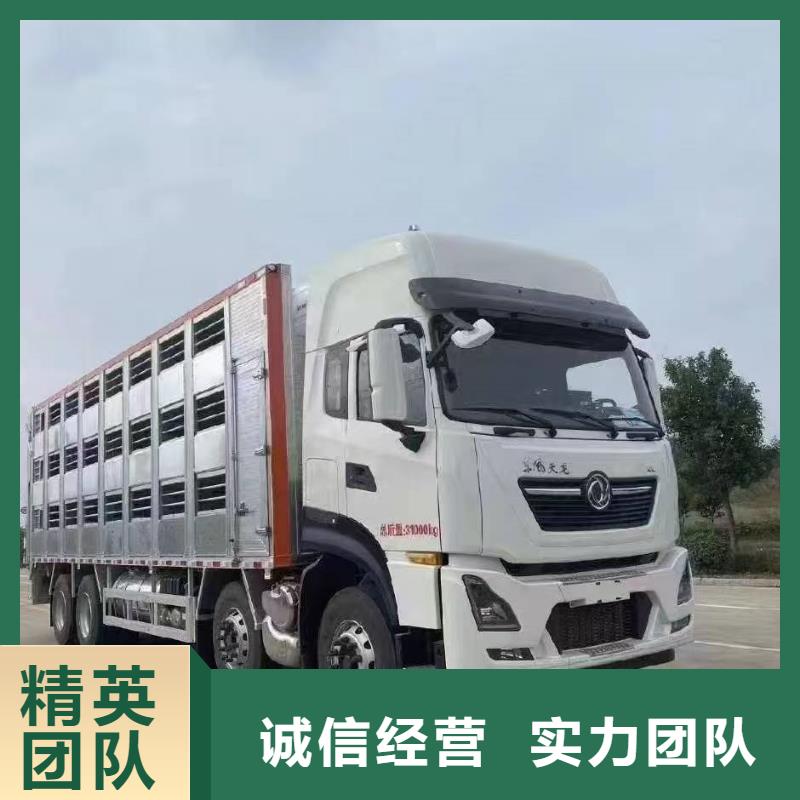宿迁沭阳到散装料-专用车遵守合同当地生产厂家