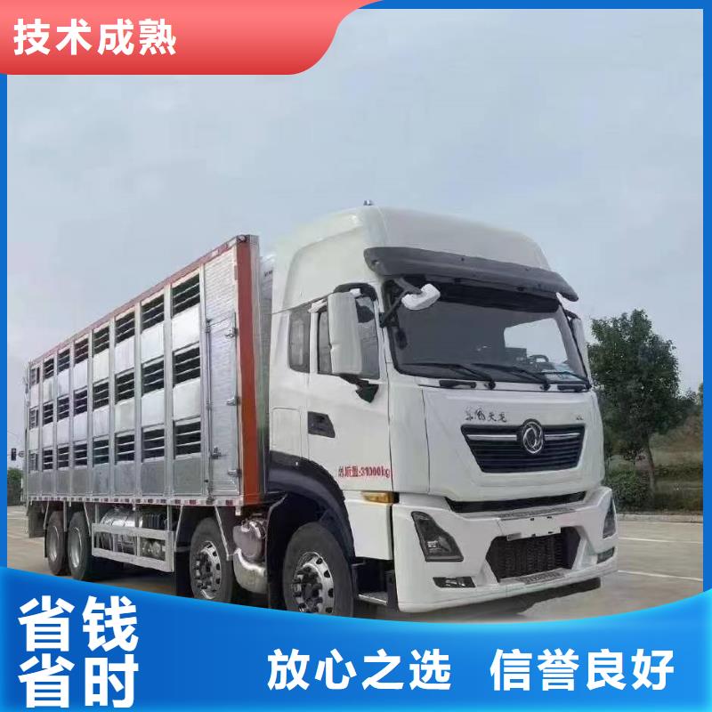 安徽到活禽运输用心做产品