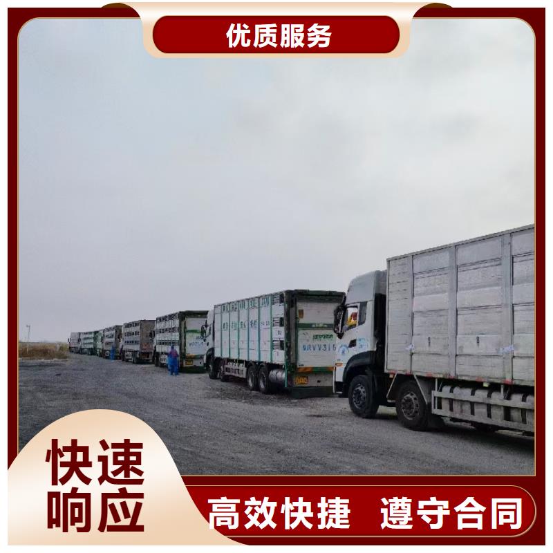 二育运输2025公司透明仔猪运输贴心服务
