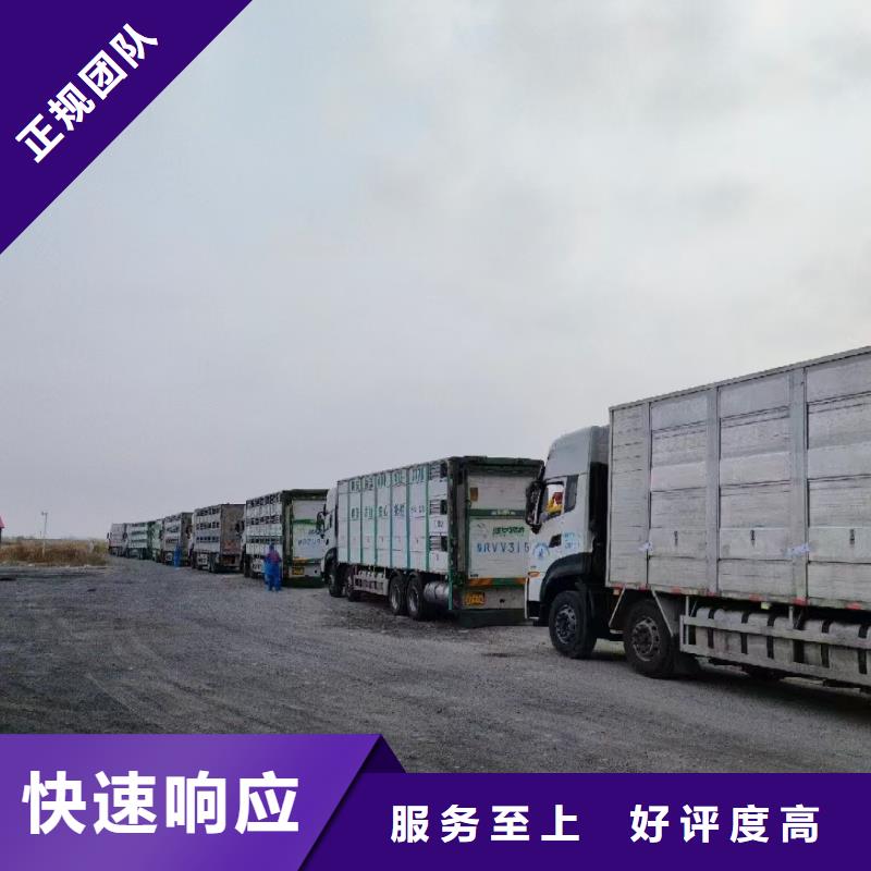 苏州到猪笼车运输-空调车实力雄厚当地服务商