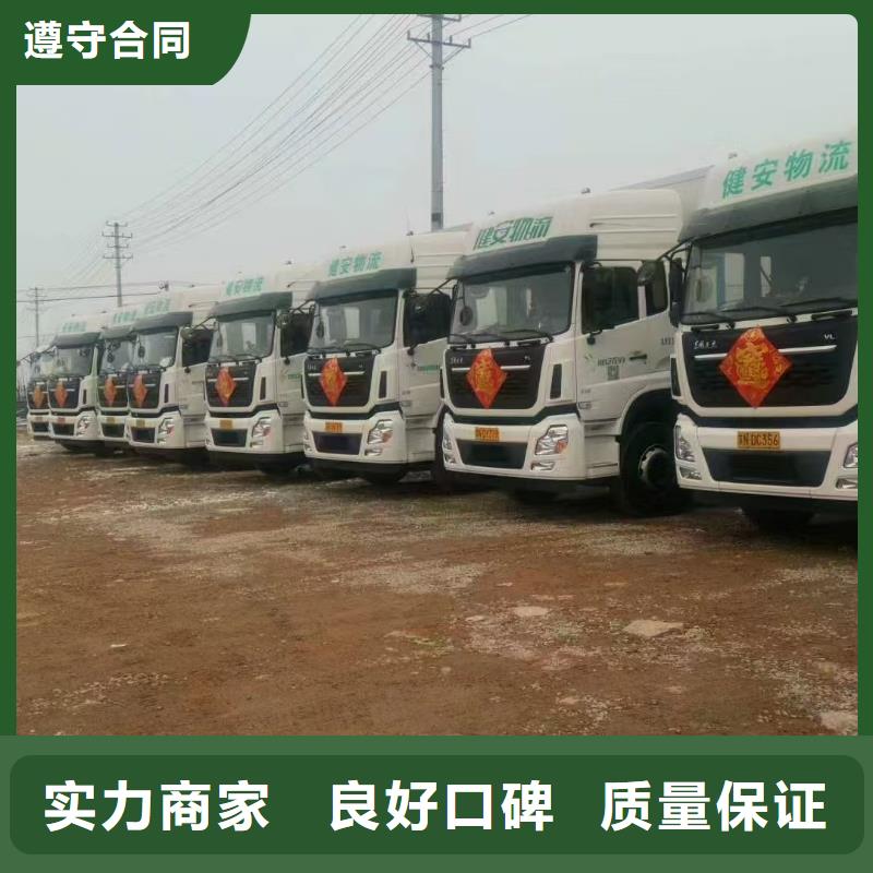 种猪运输经验丰富品质保证生猪运输当地供应商